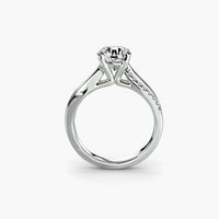Thumbnail for The Split Shank Pavé Solitaire