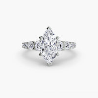 Thumbnail for The Graduated Accent Ring