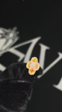 14k Oval Citrine and Diamond RIng