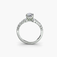 Thumbnail for The Celestial Cluster Ring
