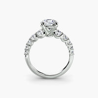 Thumbnail for The Graduated Accent Ring