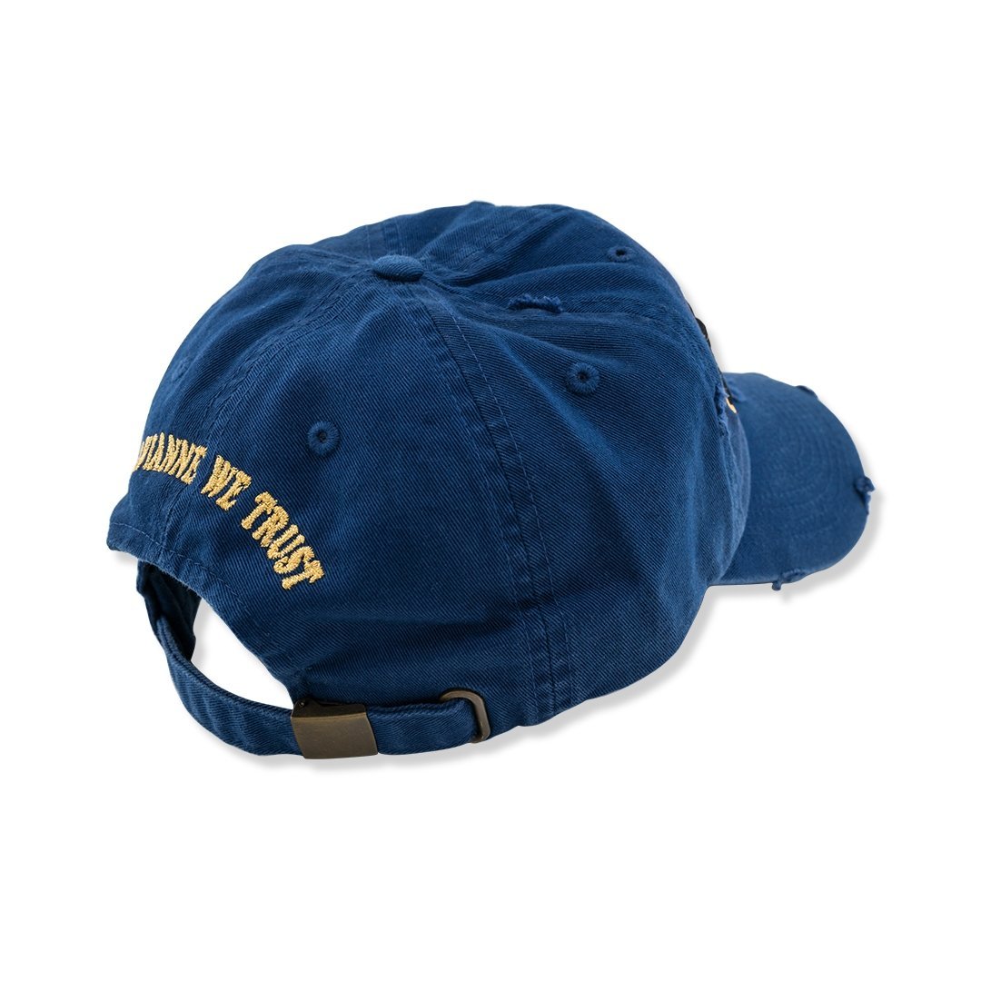 Avianne Blue Distressed Cap