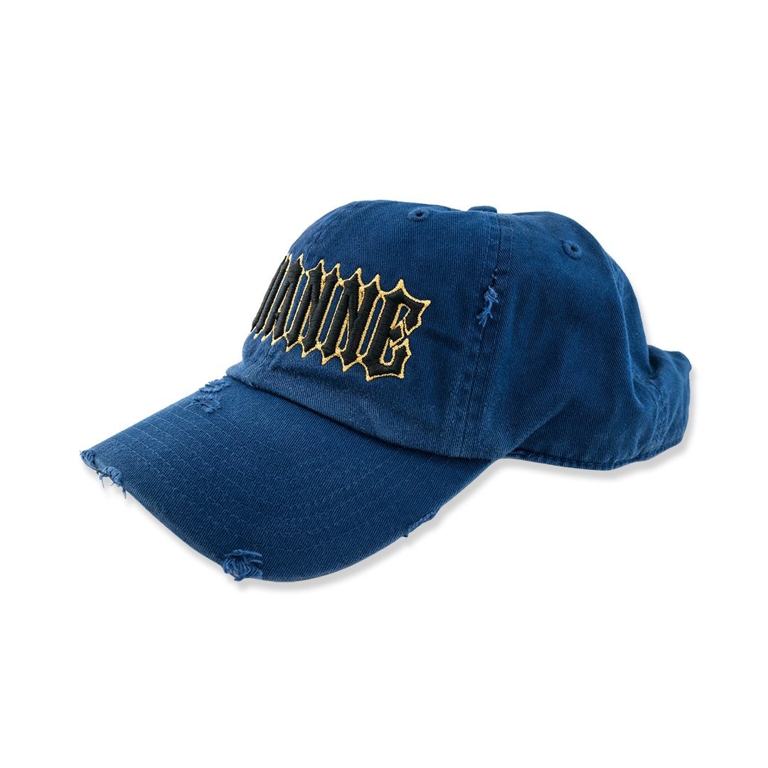 Avianne Blue Distressed Cap