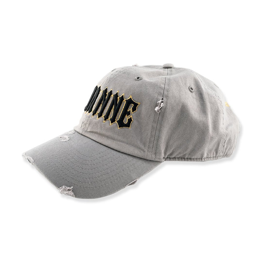 Avianne Gray Distressed Cap