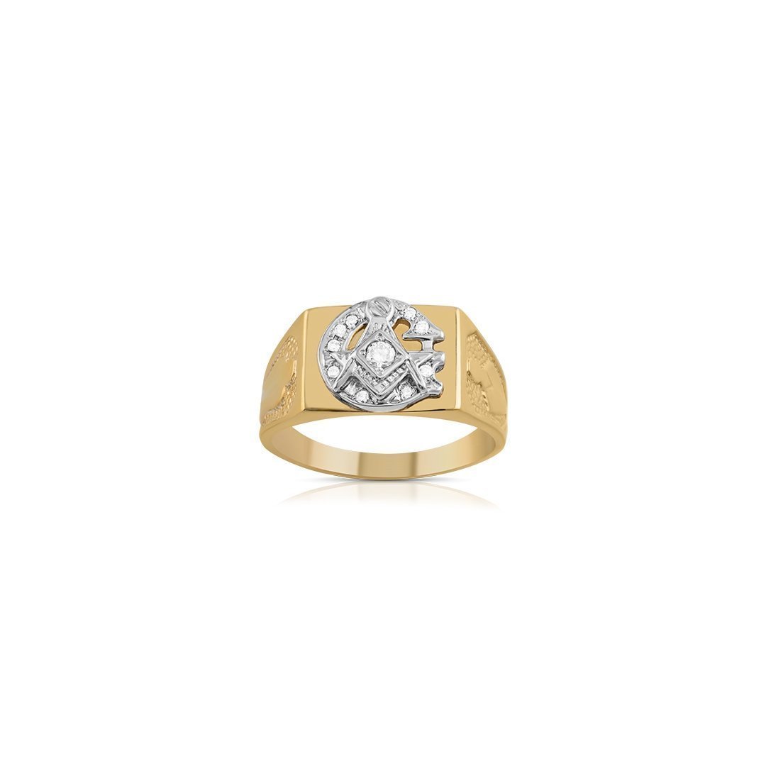 Luminous AG Stainless Steel Masonic Ring – GTHIC